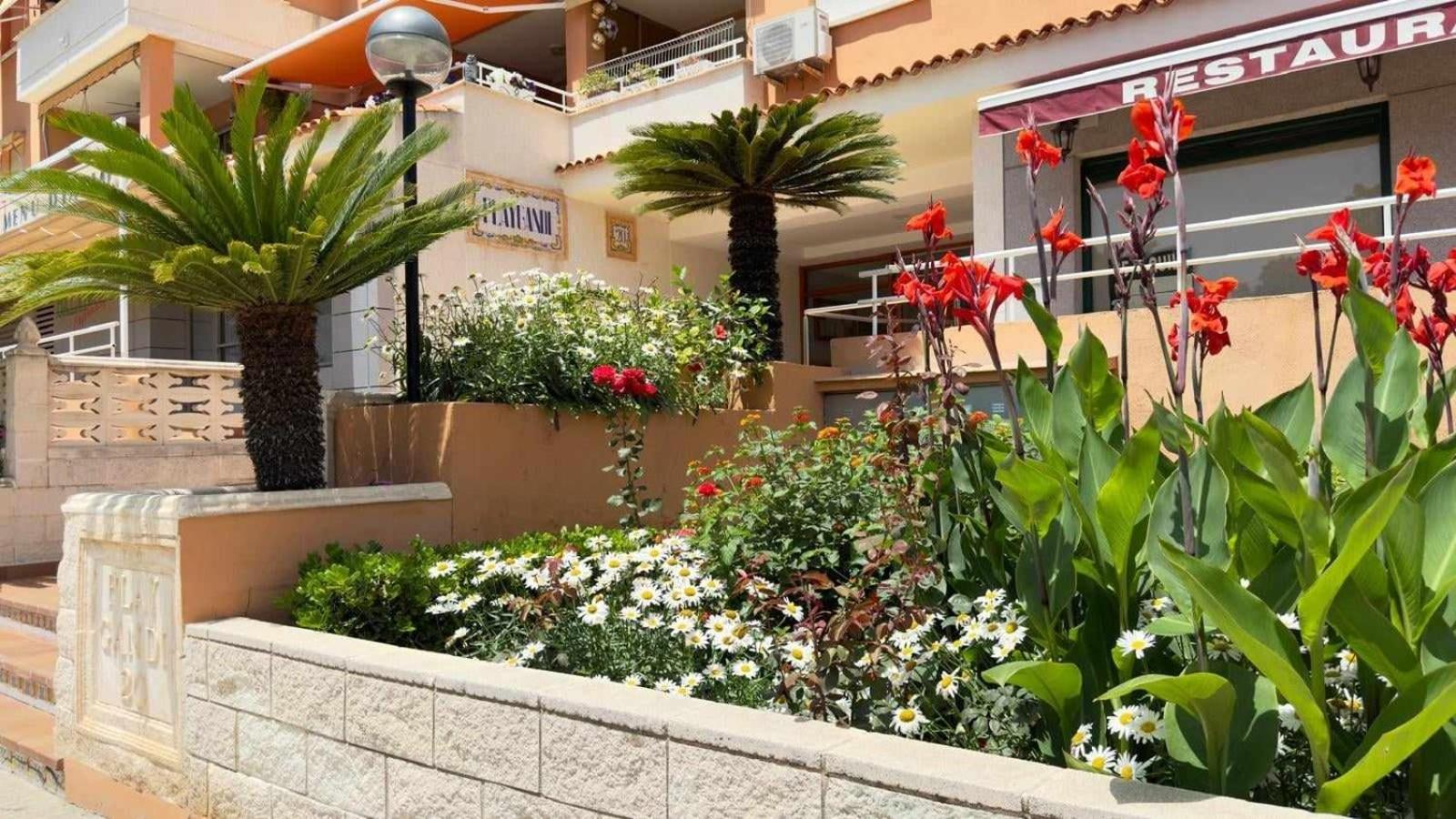 גאנדיה Apartamento Paradise Solo Familias מראה חיצוני תמונה