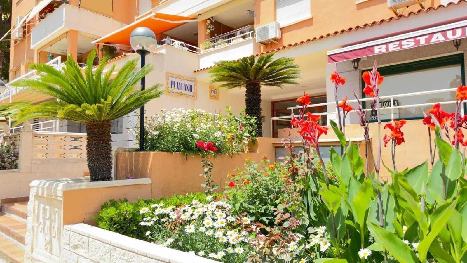 גאנדיה Apartamento Paradise Solo Familias מראה חיצוני תמונה